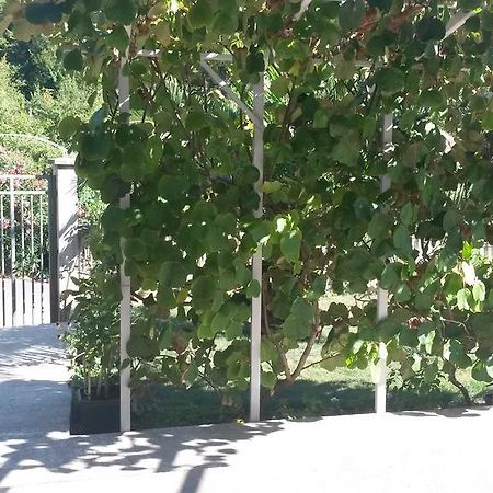 Apartment Villa Dobrijevic -Seljanovo Tivat Kültér fotó