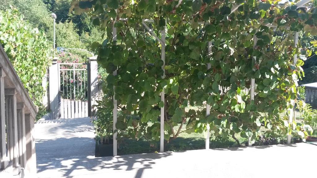 Apartment Villa Dobrijevic -Seljanovo Tivat Kültér fotó